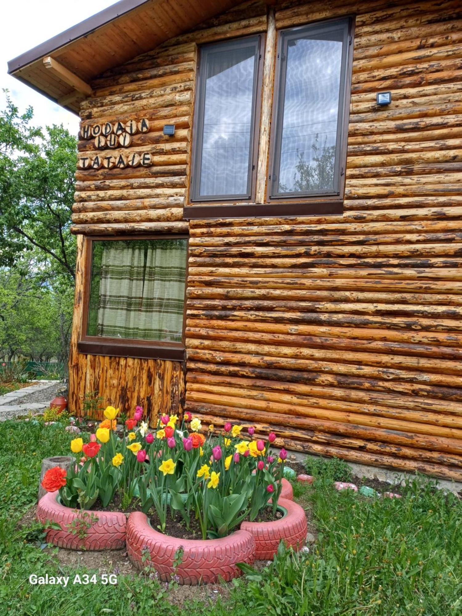 La Tataie Nucsoara Hotel Exterior photo